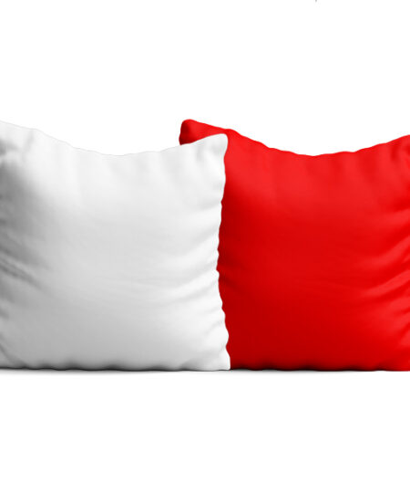 Cuscino in Raso bicolore 40 x 40 cm. con imbottitura - immagine 7